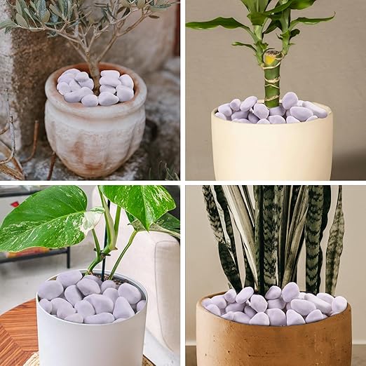 10Ib White River Rocks for Landscaping- High Polished White Pebbles for Plants-Garden Decorative Stones-1-2 Large Plant Rocks,Ideal for Aquarium, Home Decor