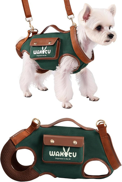 Dog Lift Harness Dog Carrier Dog VES Harness Adjustable Dog Leash with Small Puppy Treat Bag（Green,S）