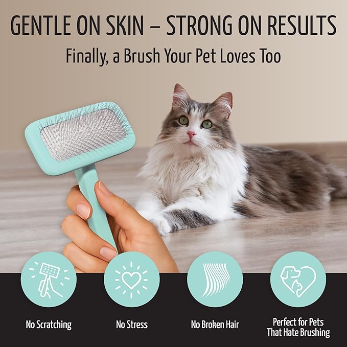Tauro Pro Line Wooden Deshedding Dog Brush for Long Goldendoodle, Labradoodle & Poodle Hair - Mint Slicker Brush for Dog & Cat Grooming - Rectangular Flexible Cushion & Non-Slip Grip, M