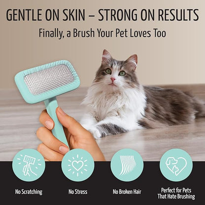 Tauro Pro Line Wooden Deshedding Dog Brush for Long Goldendoodle, Labradoodle & Poodle Hair - Mint Slicker Brush for Dog & Cat Grooming - Rectangular Flexible Cushion & Non-Slip Grip, M