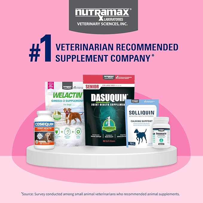 Nutramax Proviable Probiotics for Dogs and Cats, Daily Digestive Health Supplement with Multiple Strains of Bacteria, Cat and Dog Probiotics Plus Prebiotics, 30 Capsules