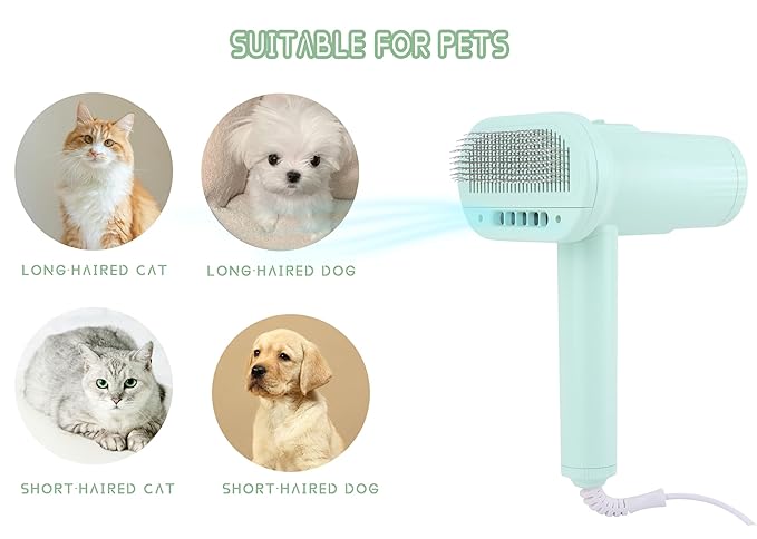 2-in-1 Dog Hair Dryer and Brush - Low Noise Operation, Overheating Protection, 3 Temperature & Airflow Settings, Self-Cleaning Button - Ideal Dog Brush for Short Haired Dogs (Green)