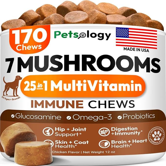 Turkey Tail Mushroom for Dogs - 170 Chews - Lion’s Mane - Shiitake - Reishi - Buddy Immune Support Guard - Mushroom Supplement for Dogs Lumps and Bumps Glucosamine, Health Vitamins Multivitamin