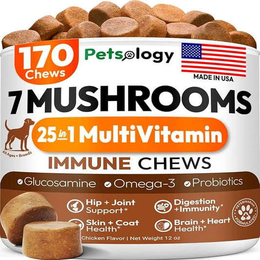 Turkey Tail Mushroom for Dogs - 170 Chews - Lion’s Mane - Shiitake - Reishi - Buddy Immune Support Guard - Mushroom Supplement for Dogs Lumps and Bumps Glucosamine, Health Vitamins Multivitamin