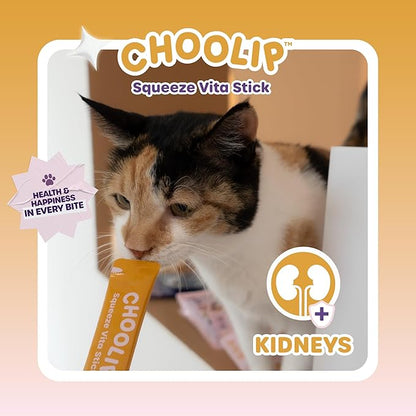 Squeeze Vita Stick Lickable Cat and Dog Treats – 7-Count Kidney Support Sticks with Multivitamins, Soft Squeezable Paste for All Life Stages, Supporting Kidney Health