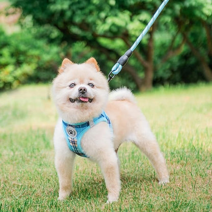 BEAUTYZOO Small Dog Harness and Leash Set,Step in No Chock No Pull Soft Mesh Dog Harnesses Reflective for Extra-Small/Small Medium Puppy Dogs and Cats, Plaid Dog Vest Harness for XS S Pets, Blue XXS