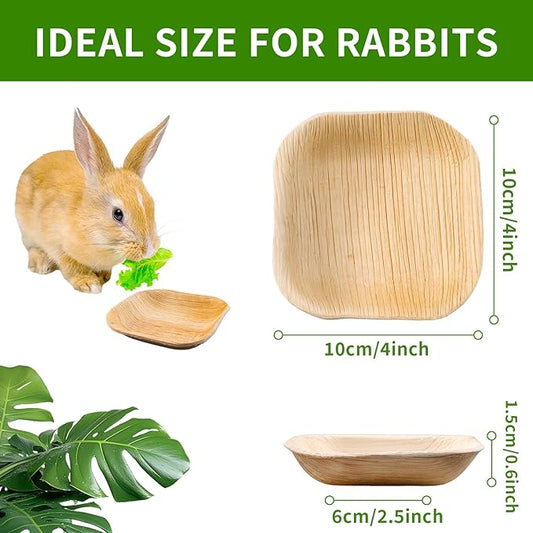 30 Pcs Disposable Palm Leaf Bowl 4" Square Bowls for Rabbits,Chewable Dish for Rabbits,Bunnies,Hamsters,Parrot