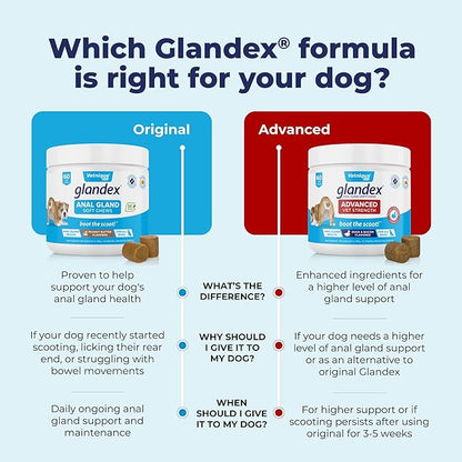Glandex Anal Gland Soft Chew Treats with Pumpkin for Dogs Digestive Enzymes, Probiotics Fiber Supplement for Dogs Boot The Scoot (Advanced Strength Duck/Bacon Chews (Vegetarian), 60ct)