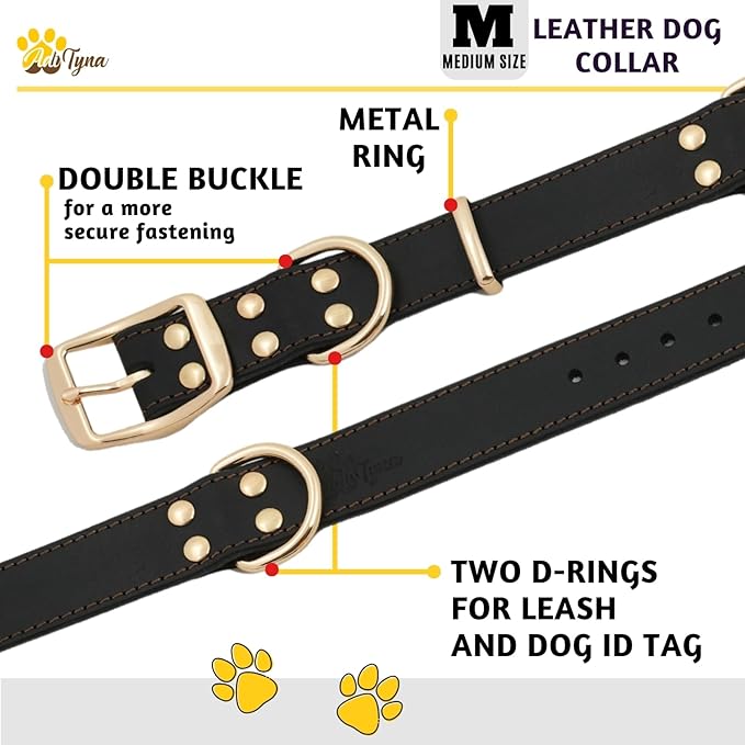 ADITYNA Heavy Duty Leather Dog Collar for Medium Dogs - Soft and Strong Leather Dog Collar for Medium Dog Breeds (Black - Gold Colored Buckle, Medium: Fit 13" - 20" Neck)