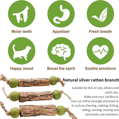 Silvervine Sticks Catnip Toys for Cats, 3 Pack, Interactive Indoor Cat Toy for Teeth Cleaning, Natural Matatabi Chew Treat for Aggressive Chewers