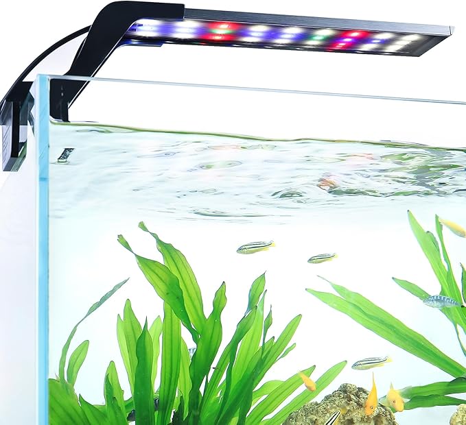 AQQA Aquarium Clip On Light,Fish Tank Full Spectrum LED Light,24/7 Sunrise Sunrise Mode+10 Adjustable Brightness Levels+Detachable Bracket+RGB LEDs + USB and Adapter,for Freshwater (11W)