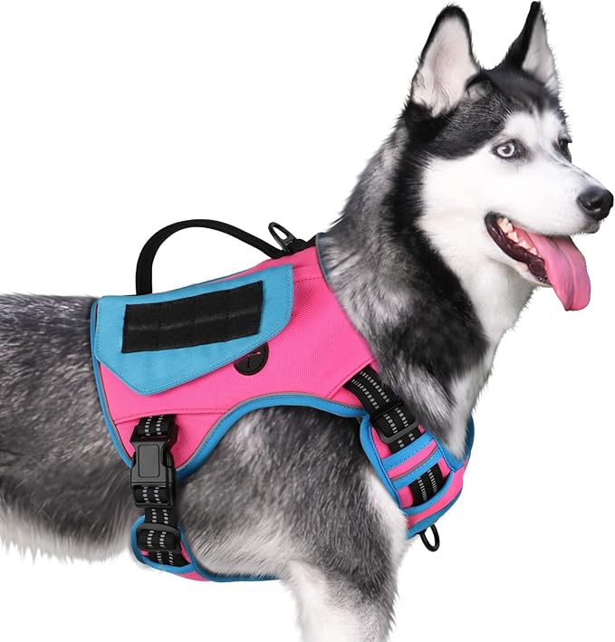 WINGOIN Tactical Dog Harness for Small Dogs, No Pull Harness with Handle Pockets Poop Bag, Reflective Dog Vest, Military Service Heavy Duty Big Dog Harness for Walking Hiking Training, Pink Blue, S