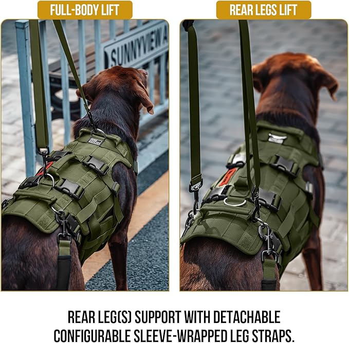 OneTigris Dog Lift Harness for Large Dogs, Dog Hip Support Brace, Full Body Dog Lifter with Handles Invictus Multifunctional Mobility Assistance Vest for Back Legs (Green, Small)
