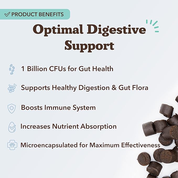 Natural Dog Company Gut Health & Canine Specific Probiotics Chews, 1 Daily Chew for All Dogs, Prebiotics & Digestive Enzymes for Digestion, Gas, Loose Stool, Immune System & Bowel Support