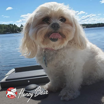 Fromm Four-Star Chicken with Carrots & Peas Grain-Free Dog Treats, 8oz (226g)