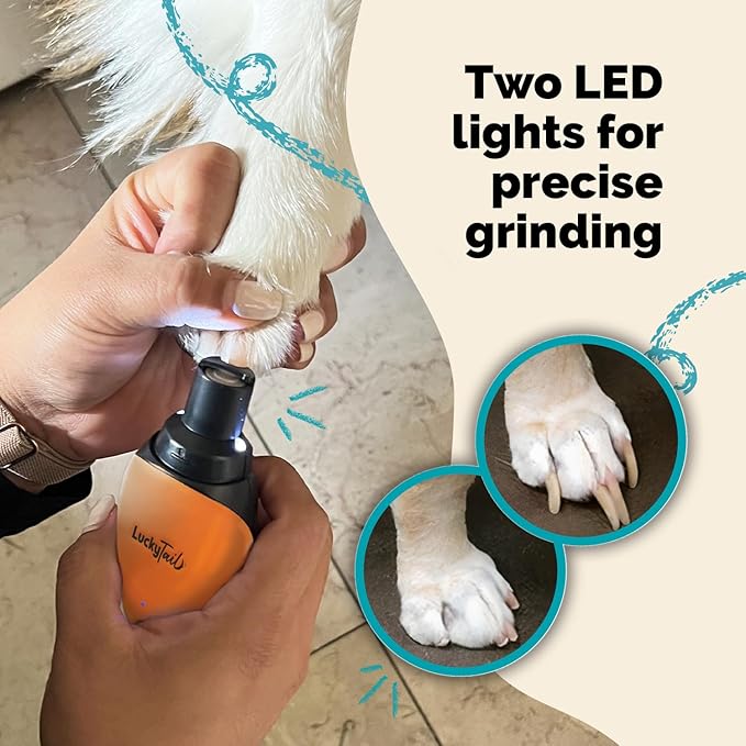 LuckyTail Pet Nail Grinder for Dogs and Cats - Super Quiet and Low Vibration Electric Dog Nail Grinder with 2 LED Lights - USB Rechargeable and Cordless - 2 Speeds - Small to Large Pets - Orange