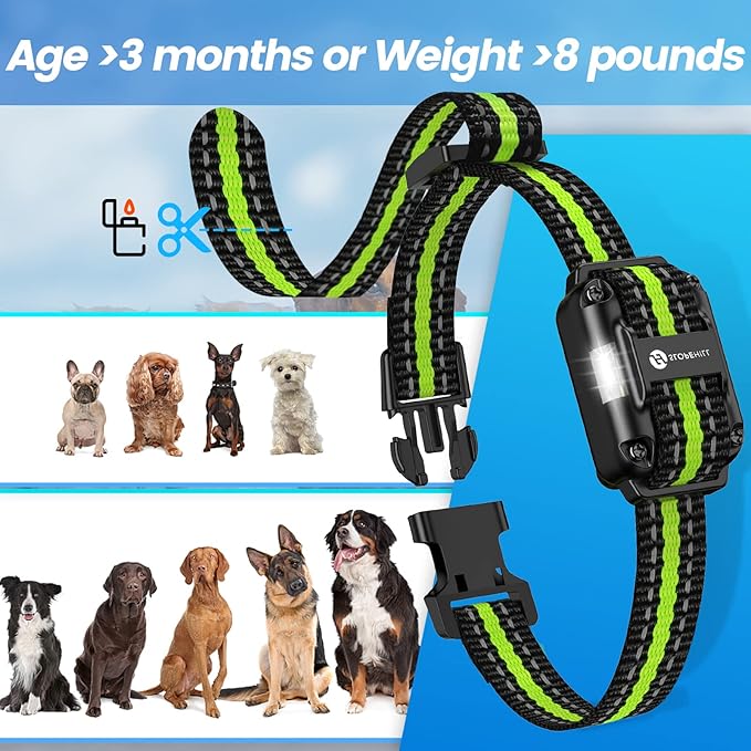 Dog Training Collar with Remote, Electronic Dog Shock Collar with Beep, Vibration, Shock, Light and Keypad Lock Mode, Electric Dog Collar Set for Small Medium Large Dogs (Black Green)