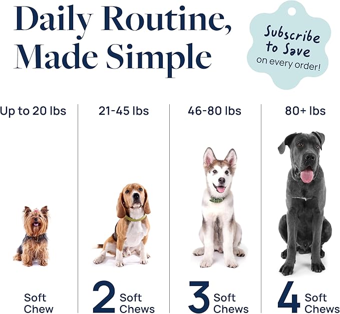 Veterinary Formula Anal Gland Support for Dogs  Vet-Formulated No Scoot Chews with Pumpkin, Ginger, Agave Inulin & Probiotics  Supports Scooting, Stool Quality & Digestive Health, 60 Soft Chews