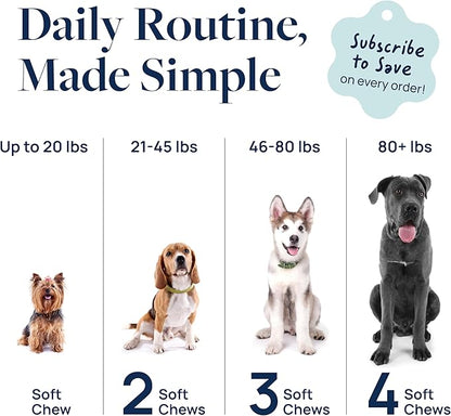 Veterinary Formula Anal Gland Support for Dogs  Vet-Formulated No Scoot Chews with Pumpkin, Ginger, Agave Inulin & Probiotics  Supports Scooting, Stool Quality & Digestive Health, 60 Soft Chews