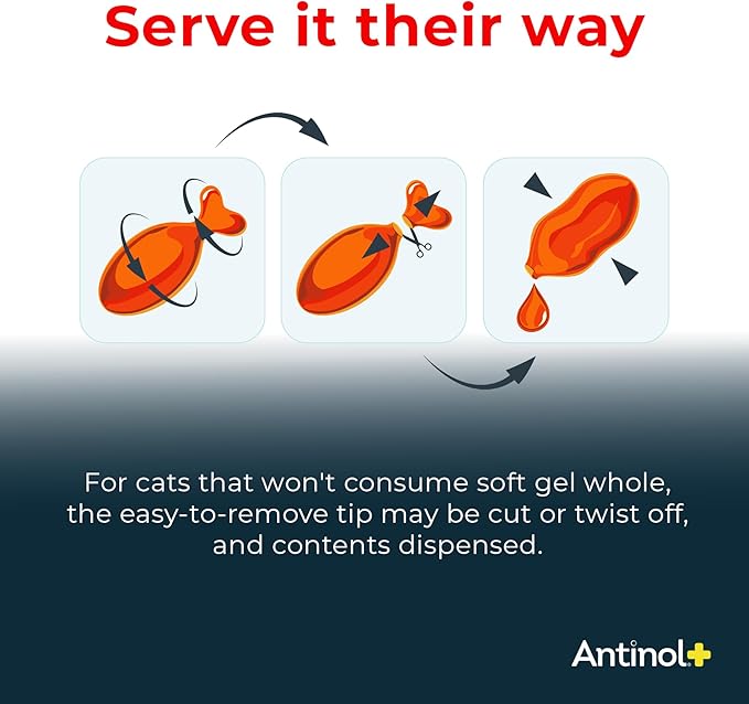 Antinol Plus, Mobility, Hip, and Joint Supplement for Cats, Green-Lipped Mussels and Krill Oil - Cat Joint Supplement, 60 Soft Gels