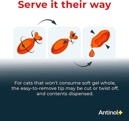 Antinol Plus, Mobility, Hip, and Joint Supplement for Cats, Green-Lipped Mussels and Krill Oil - Cat Joint Supplement, 60 Soft Gels