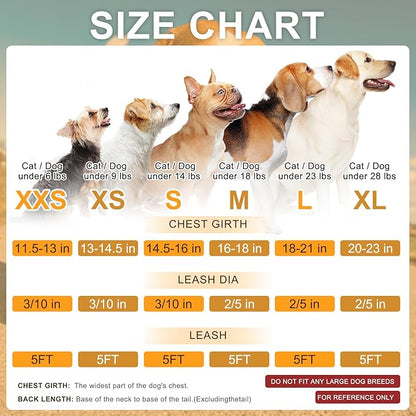 BEAUTYZOO Small Dog Harness and Leash Set,Step in No Chock No Pull Soft Mesh Dog Harnesses Reflective for Extra-Small/Small Medium Puppy Dogs and Cat, Plaid Dog Vest Harness for XS S Pet,Turquoise XXS