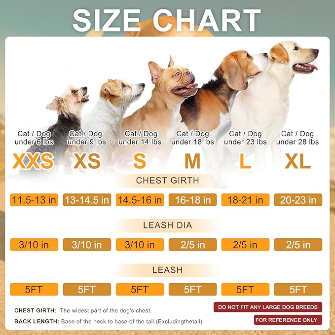 BEAUTYZOO Small Dog Harness and Leash Set,Step in No Chock No Pull Soft Mesh Dog Harnesses Reflective for Extra-Small/Small Medium Puppy Dogs and Cats, Plaid Dog Vest Harness for XS S Pets, Beige XS