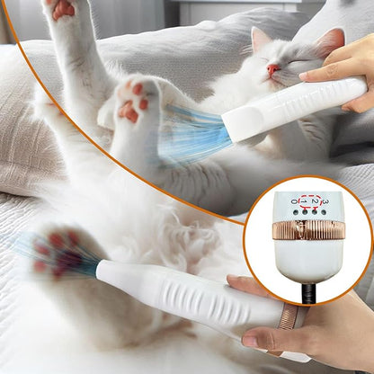 300W Quiet Pet Blow Dryer - Pet Hair Dryer for Small & Medium Dogs and Cats with Removal Comb & Silicone Bath Massage Brush for Home Grooming -Mist/Spray/Steam Brush for Cat & Dog