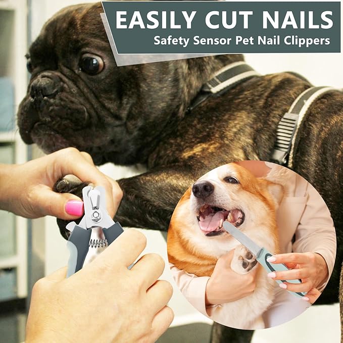 8 in 1 Pet Grooming Kit - Slicker Brush, Flea Comb, Shedding Tools, and Double-Sided Brushes for Dogs and Puppies