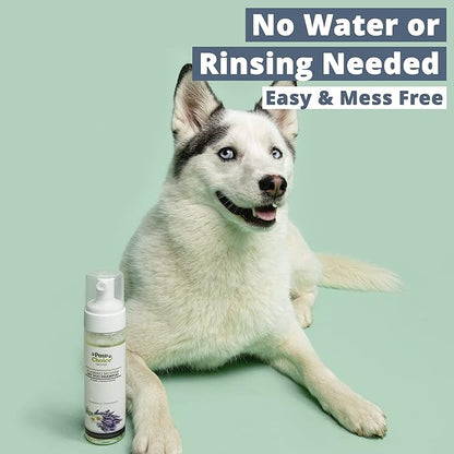 Paw Choice Dry Shampoo for Dogs - Waterless No-Rinse Foam for Odor Removal, Cleaning, Conditioning - Hypoallergenic, Natural - Safe for Sensitive Skin - Made in USA - Lavender Chamomile Scent