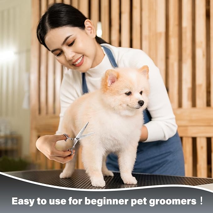 Dog Grooming Scissors,Silver with Safety Round Tips,5 in 1 Curved Dog Scissors for Grooming,Professional Pet Grooming Shears Set for Dogs and Cats