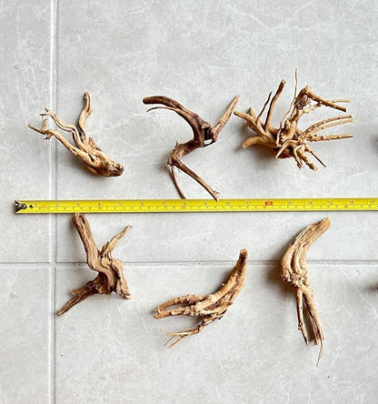 10pcs Natural Small Spiderwood Driftwood for Aquarium Decor Aquarium Driftwood Freshwater Reptile Driftwood Aquarium spiderwood (spiderwood 5-6inch 10pcs)