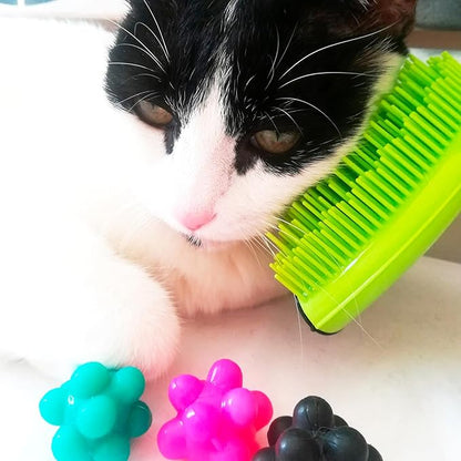 Michel Mercier Pet Detangling Brush Fine or Normal Fur - Pet Brush for Grooming, Detangling, Deshedding - Cat Brush and Dog Brush for Shedding - 1 pc