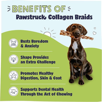 Pawstruck Natural Large 10-13 Beef Collagen Braids for Dogs - Healthy Long Lasting Alternative to Traditional Rawhide & Bully Sticks w/Chondroitin & Glucosamine - 3 Count - Packaging May Vary
