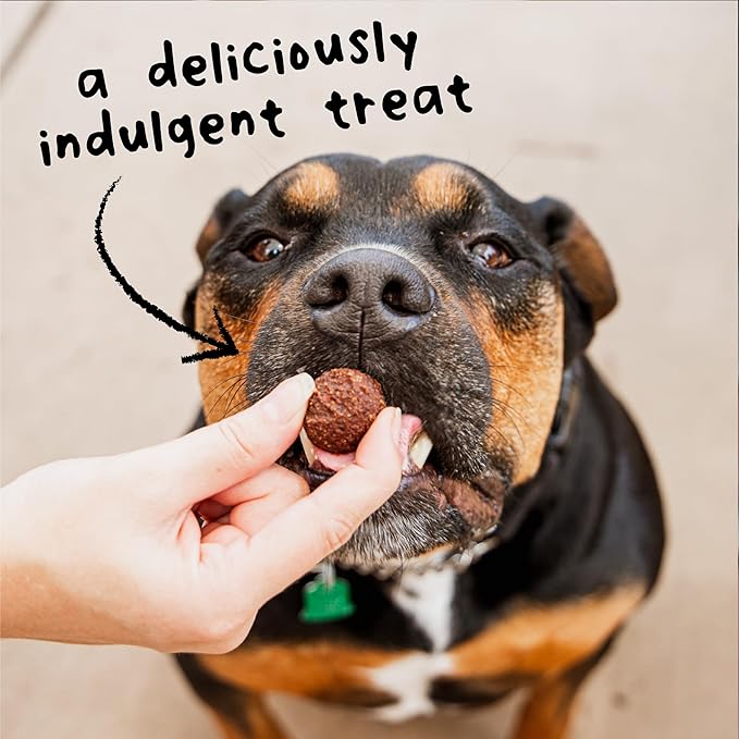 Cloud Star Wag More Bark Less 14 oz Grain Free Meatballs Dog Treats with Beef (19118)