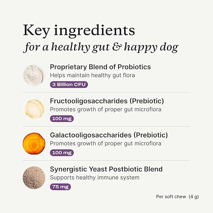 PetLab Co. Probiotics for Dogs, Support Gut Health, Occasional Diarrhea, Digestive Health & Seasonal Allergies - Salmon Flavor - Packaging May Vary - 30 Soft Chews