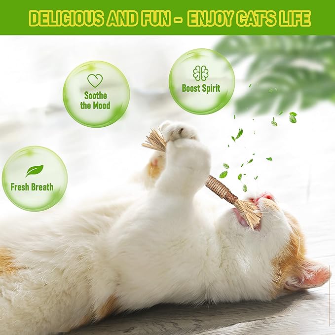 BAWAN Catnip Toys, Silvervine for Cats: Cute Kitten Toys for Indoor Interactive Play, Teething Chew Toys for Aggressive Chewers, Dental Toy Sticks (5PCS)
