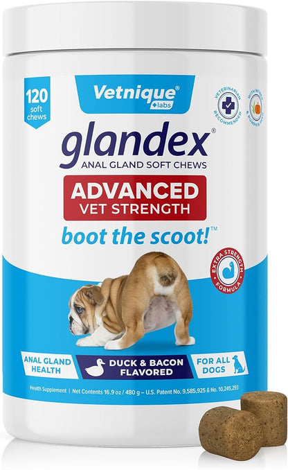 Glandex Anal Gland Soft Chew Treats with Pumpkin for Dogs Digestive Enzymes, Probiotics Fiber Supplement for Dogs Boot The Scoot (Advanced Strength Duck/Bacon Chews (Vegetarian), 120ct)
