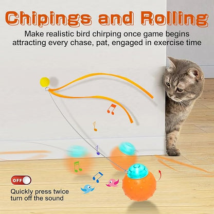 Interactive Cat Toy Ball, Touch Activated Cat Toys for Indoor Cats with Chirping Bird, Automatic Rolling Ball, Rechargeable Self Play Kitten Toys