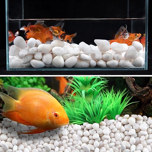 10LB White River Rock- High Polished Pebbles for Indoor Plants- Decorative Stones for Aquarium Fish Tank - White Rocks for Outdoor Garden Landscaping - 0.3"-0.8"