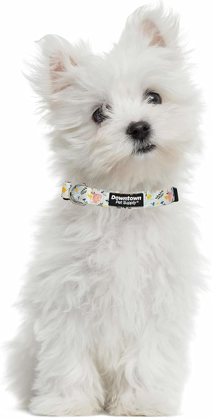 Downtown Pet Supply - Best, Cute & Fancy Dog Collar - Lightweight Adjustable Dog Collar with Quick Buckle & D-Ring - Hand Wash Safe - Floral - L - Large Dog Collar