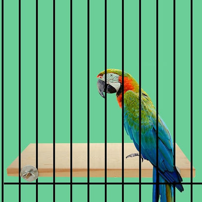 4 Pack 5 x 12 Inches Bird Perches - Natural Wooden Flat Bird Perch - Rectangle Bird Perch Stand Platform for Parrot, Budgies, Parakeet, Cockatiels, Conure, Lovebirds