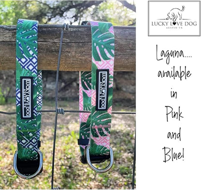 Lucky Love Dog Collar, Beautiful & Vivid Pattern Small Boy Dog Collars, Easy On & Off Clasp Accessory (Blue Laguna, S)