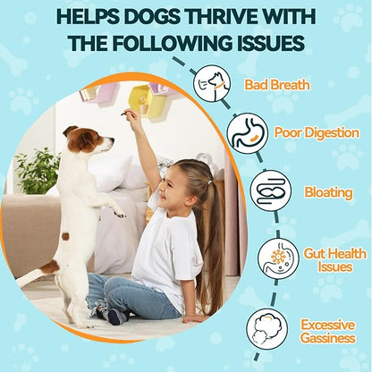 Probiotics for Dogs, 200 Soft Chews Digestive Probiotics & Enzymes for Gut Health with Pumpkin, Fibre for Dogs Anti Diarrhea, Upset Stomach, Gas Relief, Itchy Skin & Immune Support (Chicken)
