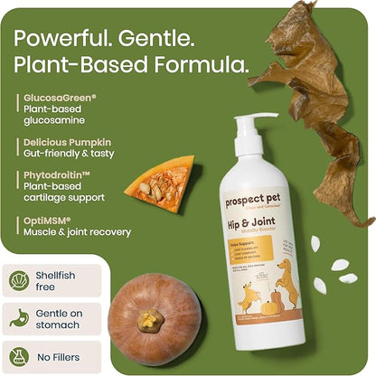 Hip and Joint Supplement for Dogs - Glucosamine with Plant-Based Chondroitin, MSM & Pumpkin - Advanced Joint Relief Dog Supplements for Large & Small Breeds - USA Made 16OZ