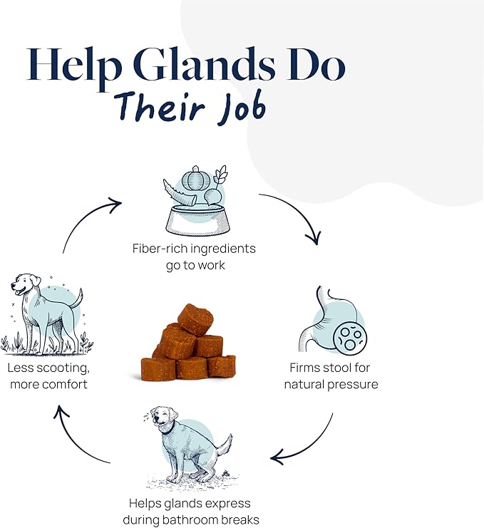 Veterinary Formula Anal Gland Support for Dogs  Vet-Formulated No Scoot Chews with Pumpkin, Ginger, Agave Inulin & Probiotics  Supports Scooting, Stool Quality & Digestive Health, 60 Soft Chews