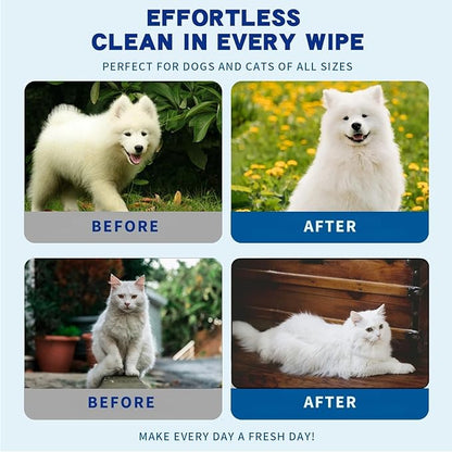 Pet Bathing Glove Wipes for Dogs and Cats, Lick Safe Deodorizing No Rinse Cleaning Glove Wipes with Plant-Based Cat Calming Ingredient, Cleaning Paws, Face, Fur and Butt (10 Pcs)