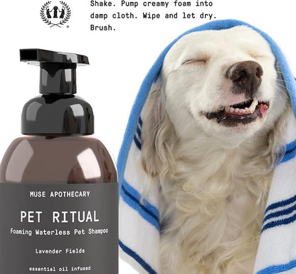 Muse Apothecary Pet Ritual Foaming Waterless Dog Shampoo - No Rinse Dry Shampoo for Dogs & Cats - Essential Oils Infused, 11.5oz, Oatmeal + Mango