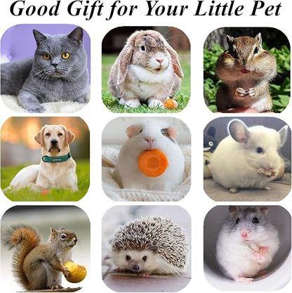 Cat Toys 10Pack Silvervine Chew Stick Kitten Treat Catnip Toy Kitty Natural Stuff Catnip for Cleaning Teeth Indoor Dental Snack Interactive