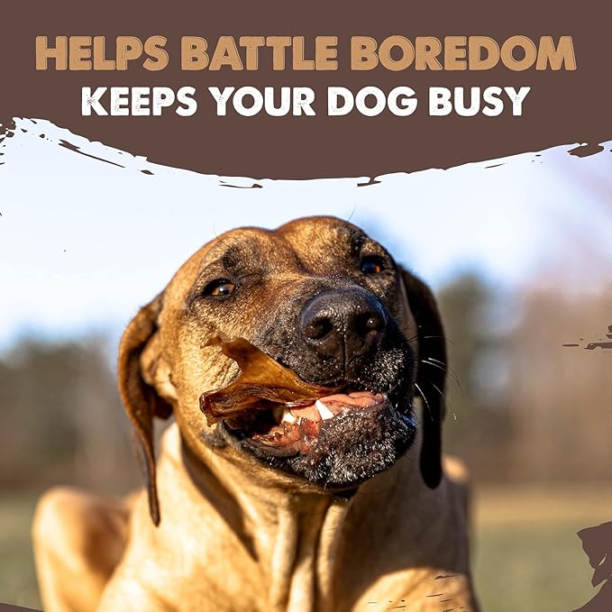 Mighty Paw Full Pig Ears for Dogs | All Natural Dog Treats. Single Ingredient Pig Ear Dog Treats. Better Than Rawhide Dog Snacks for Puppy and Large/Medium Dogs. Pigs Ears Dog Chews, Dog Pig Ears